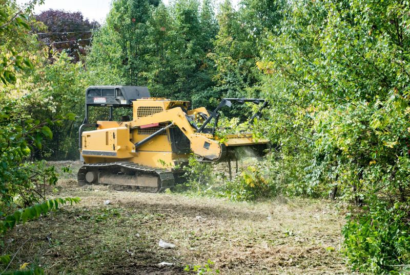 Tree Removal