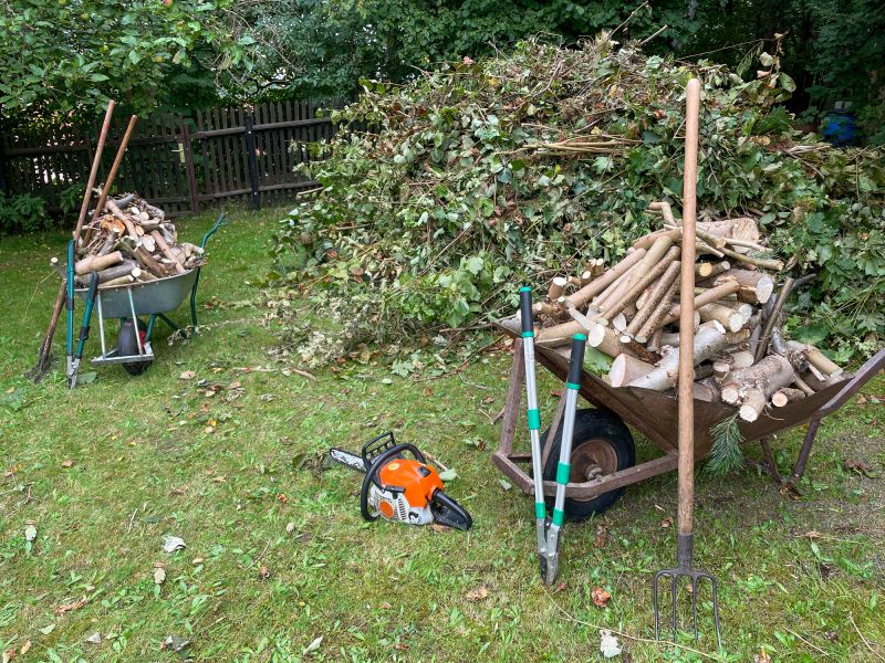 Dead Tree Removal