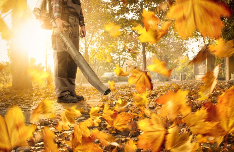Leaf Blowing Process