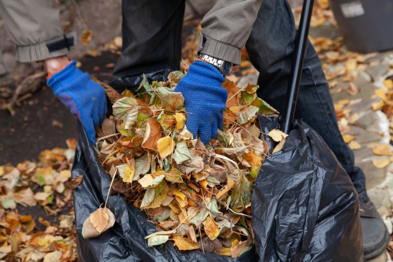 Leaf Collection and Gathering