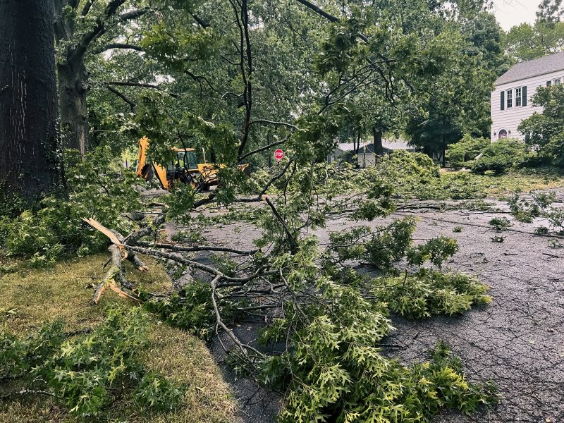 Cleanup After Removal