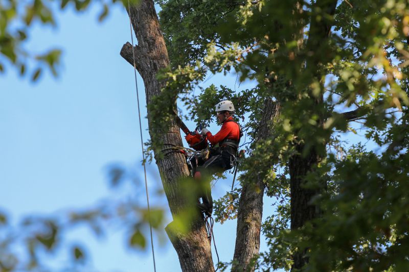 Equipment and Safety Teams