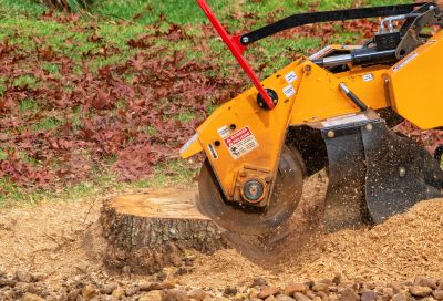 Land Clearing and Stump Removal Specialists
